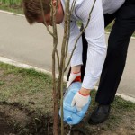 В Ірпені стартувала естафета “Посади дерево”