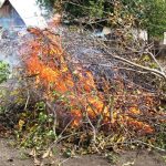 “Чисте повітря – здорові легені”: Ірпіньрада відкриває сезон боротьби зі спалюванням листя