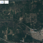Супутникові знімки підтверджують, що в Біличанському лісі ведуть масову вирубку