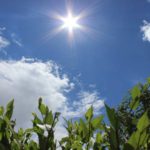 Грозові дощі та спека: якою буде погода в Ірпені наступного тижня?